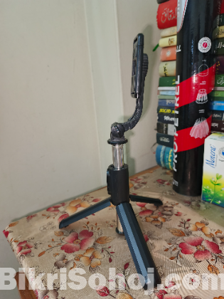 Microphone+selfie stick